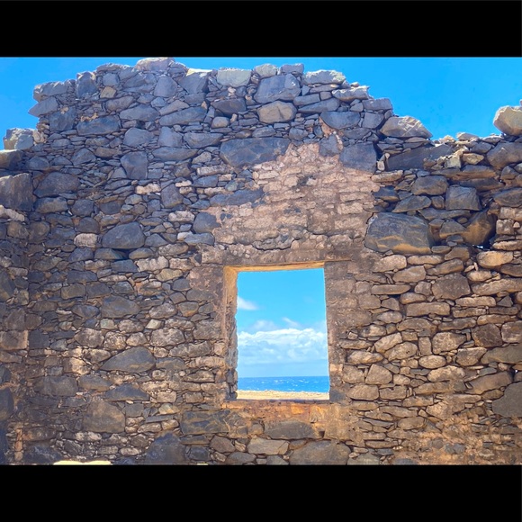 Meet your Posher, Kyra - Picture 1 of 1